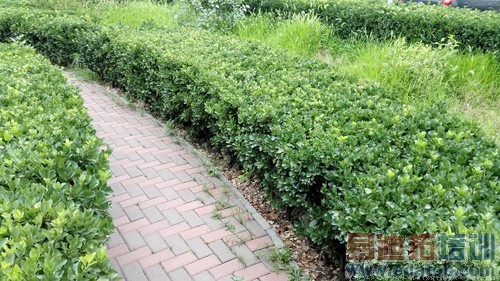 ��˼�˺�3GB�˴�1999Ԫ ��Ϊ��ҫ6���� 