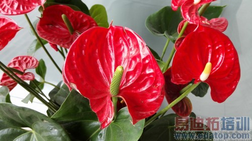 ��˼�˺�3GB�˴�1999Ԫ ��Ϊ��ҫ6���� 