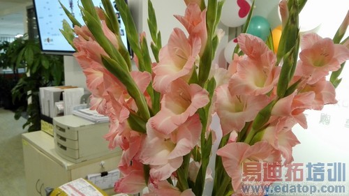 ��˼�˺�3GB�˴�1999Ԫ ��Ϊ��ҫ6���� 