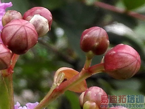 ��˼�˺�3GB�˴�1999Ԫ ��Ϊ��ҫ6���� 