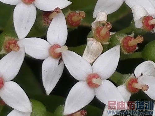 ��˼�˺�3GB�˴�1999Ԫ ��Ϊ��ҫ6���� 