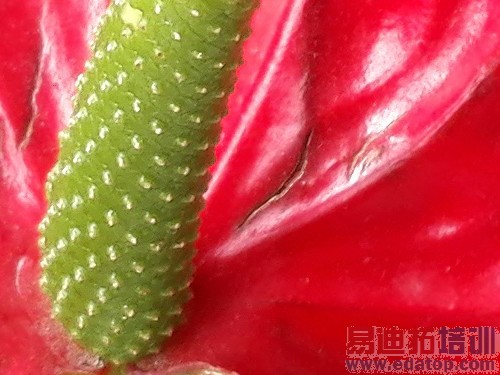 ��˼�˺�3GB�˴�1999Ԫ ��Ϊ��ҫ6���� 