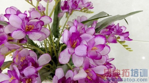 ��˼�˺�3GB�˴�1999Ԫ ��Ϊ��ҫ6���� 