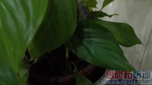 ��˼�˺�3GB�˴�1999Ԫ ��Ϊ��ҫ6���� 