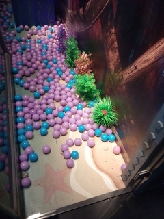 拍照篇:白平衡/对焦/细节/有待优化