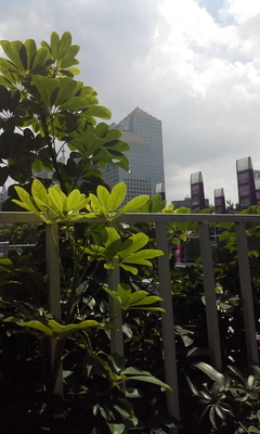 拍照篇:白平衡/对焦/细节/有待优化