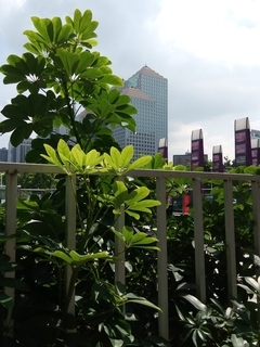 拍照篇:白平衡/对焦/细节/有待优化