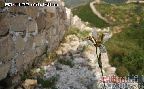 ���������ع� С��4����7������