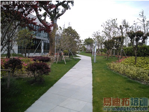 ˭����ǿǧԪ���Ż� �Ѷ�ķ�2S�����1S�Ա����� 