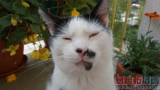 LG G3再曝光:新背部按键 或配2K屏幕