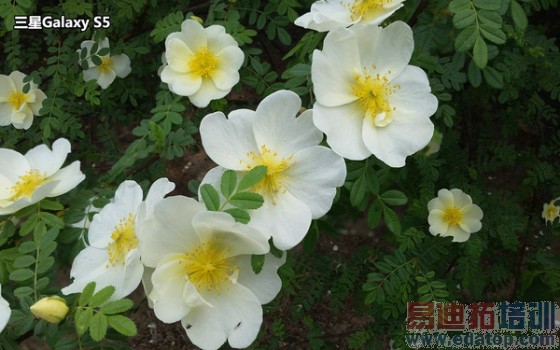 Ӳ������������޴��� Galaxy S5���� 