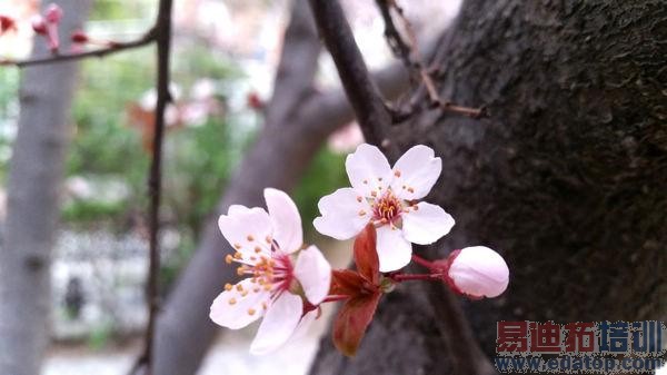 三星GALAXY S5评测:摄像头+防水体验出色