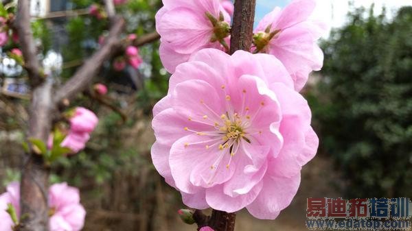 三星GALAXY S5评测:摄像头+防水体验出色