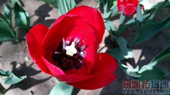 ����801+ȫ����������GrandS��LTE����(4)