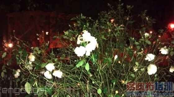 1090Ԫ 4.5��720p�ĺ˻�Moto G���飺��