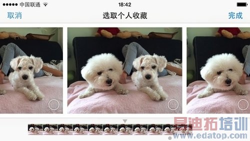 iPhone 5s���� Touch IDָ��ʶ�������