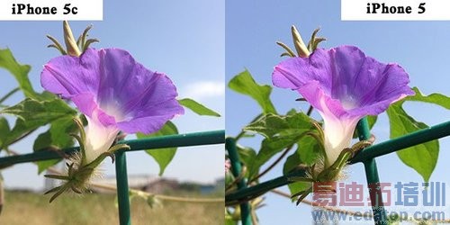 ����ƻ��iPhone 5c���ı����ģ��ò�����