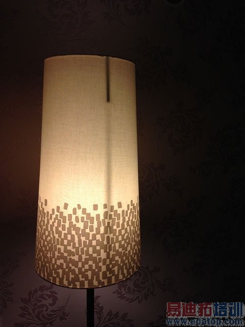 ����ƻ��iPhone 5c���ı����ģ��ò�����