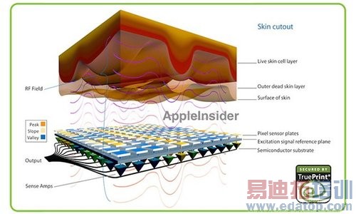 ��iPhone 5S������͹��ʽhome�� ��9��10�շ���