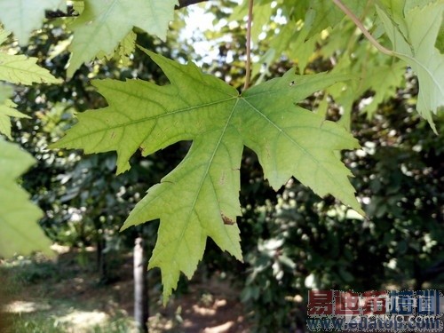 1300�������ĺ� ��������K5ָ�ư����� 