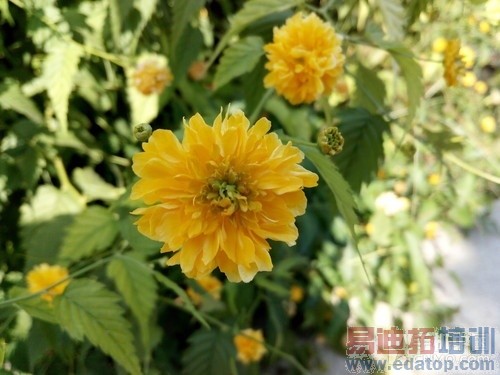 1300�������ĺ� ��������K5ָ�ư����� 