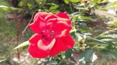 韩系旗舰大对决三星Note3/LGG2对比评测(4)