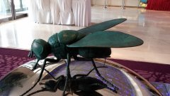 韩系旗舰大对决三星Note3/LGG2对比评测(4)