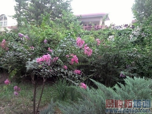 2GHzӢ�ض�˫�˴����� ����GEEK���� 