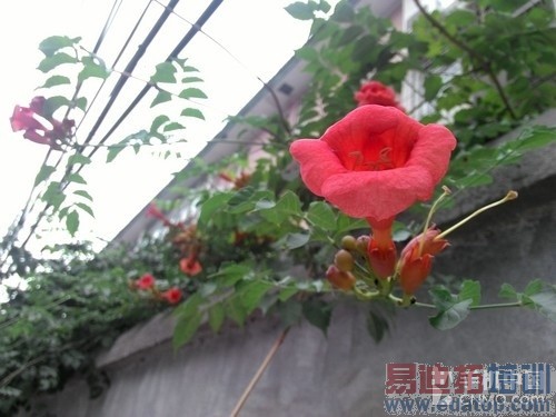 2GHzӢ�ض�˫�˴����� ����GEEK���� 