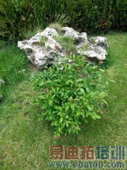 ����������ΪMate�Ա�����Mega6.3(2)