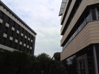 ��ΪAscend Mate����3