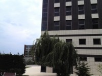 ��ΪAscend Mate����2