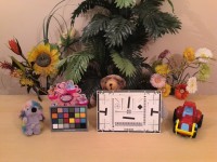 ��ΪAscend Mate����4���߹⣩