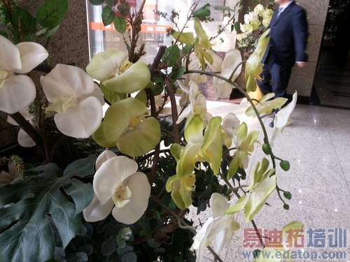 800�����غ�������ͷ��������