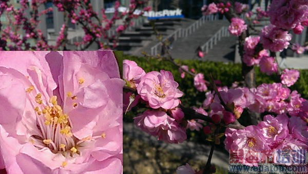 ���½�Ϊ�м仨��ԭͼ