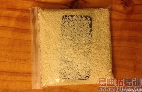 Dropped an iPhone in Water? Here��s How to Save It from Water Damage