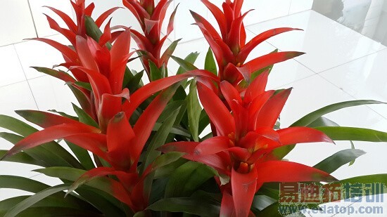 HTC One�Ա�����S4