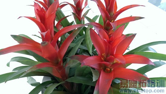 HTC One�Ա�����S4