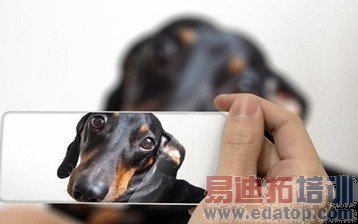 Ӳ����ͬ��δ���ֻ�����ʲô��ͬ��