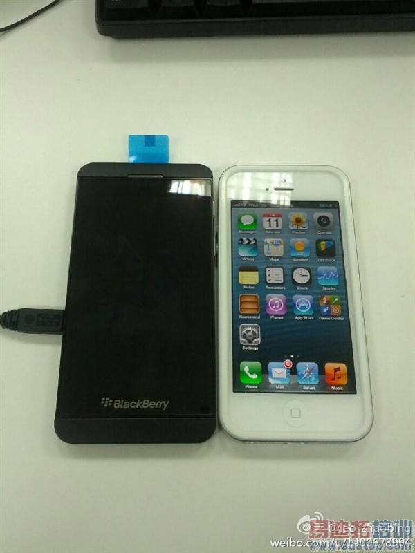 Lϵ��ݮ10��Ӫ�̲������������