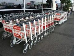 ����һ���й�о ��Ϊ��ҫ�ĺ˰���������