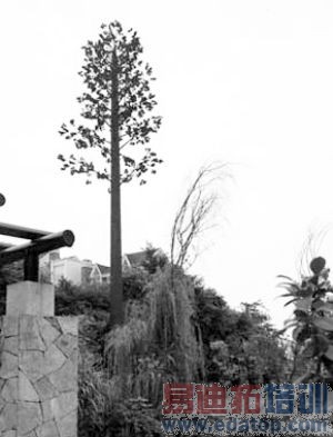 ��վαװ���λ�ս����������ʧ[ͼ]