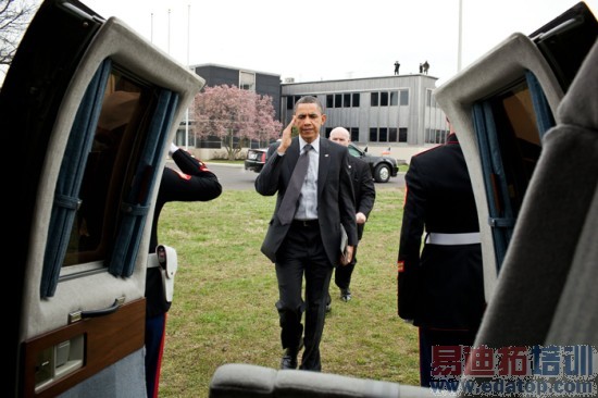 ��ݮ��ⲻ�٣��������г���ƻ����ʴ[ͼ]