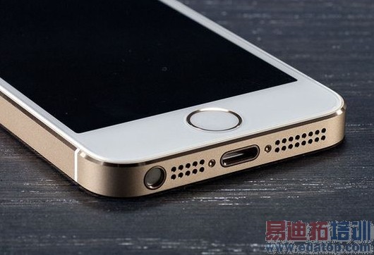 ���̵㡿2013����ֻ����� ƻ�����ֺ�ݮ������