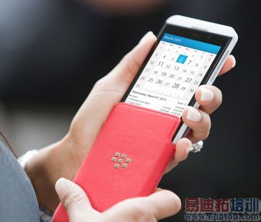 ���̵㡿2013����ֻ����� ƻ�����ֺ�ݮ������