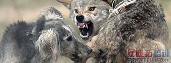 �����۵㣺�ֻ�����Ϊ���������㣿  