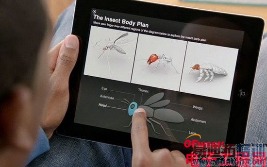 ��Ԥ�⡿����ػ��10������Ƽ����� ��ΪС�׵ü��ͣ�