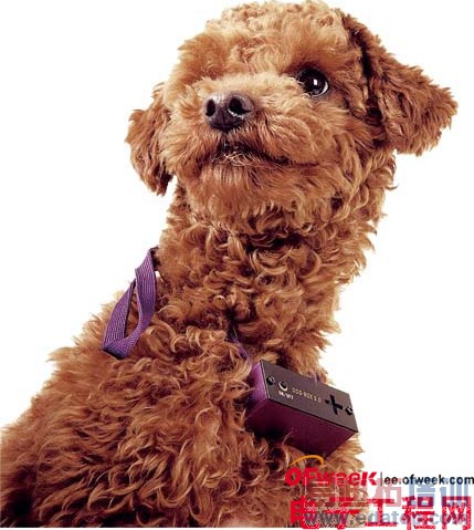 �ɴ������˰� 