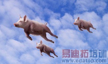 С�����ݣ��׾�����ɵĻ���ֻ�Ǻ崴ҵ��˿