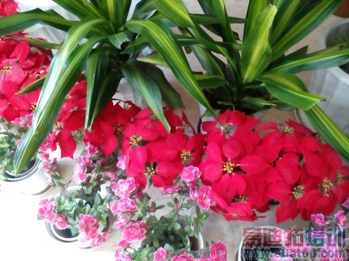 ��ҫ3C��սiPhone5C��˫C�Աȴ����⣨ͼ�ģ�